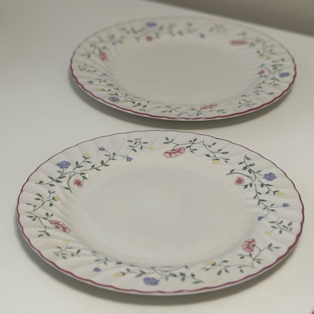 Johnson Brothers Multicolor Floral Dinner Plates